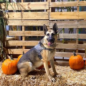 Meet your Posher, Zak